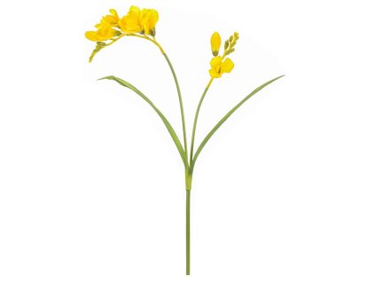 4C0BF3D2E645BA48980012BBD3F814ED67DB2B8C 1 pl