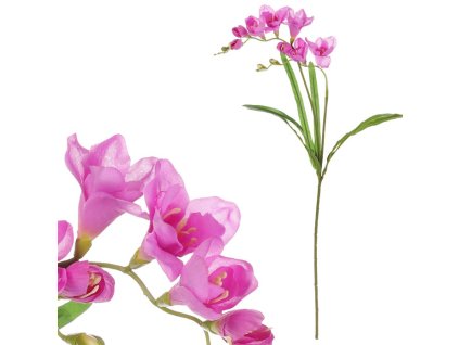 D31C303BED37B526529852143779C68D5EBC8E25 1 pl