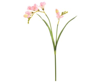 FC2D3D31D77E17595C907A6F3367E90BACB0FC91 1 pl