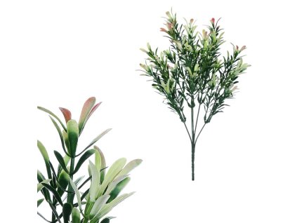 2CEE240C813779A5E5EC4C28980AB1A8EB87385F 1 pl