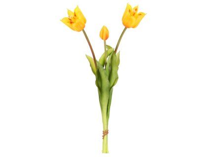 3E4C4B26A131151F2EBAEACCC01335C2A779DB32 1 pl