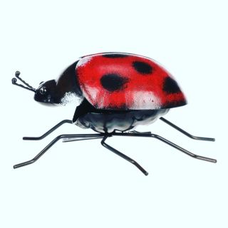 🐞 Roztomilá kovová beruška už čeká na vaši zahradu! Dopřejte truhlíkům, záhonům nebo trávníku špetku barevné radosti. Naše...