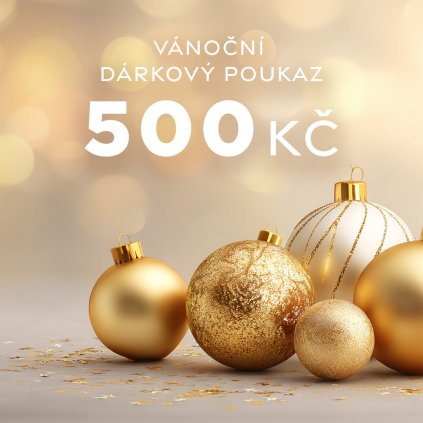 Vánoční dárkový poukaz v hodnotě 500 Kč