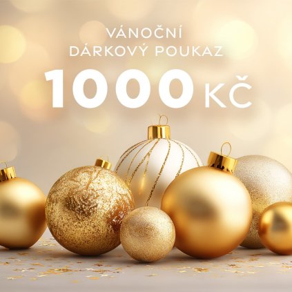Vánoční dárkový poukaz v hodnotě 1000 Kč