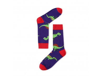Pestrobarevné veselé ponožky Dino