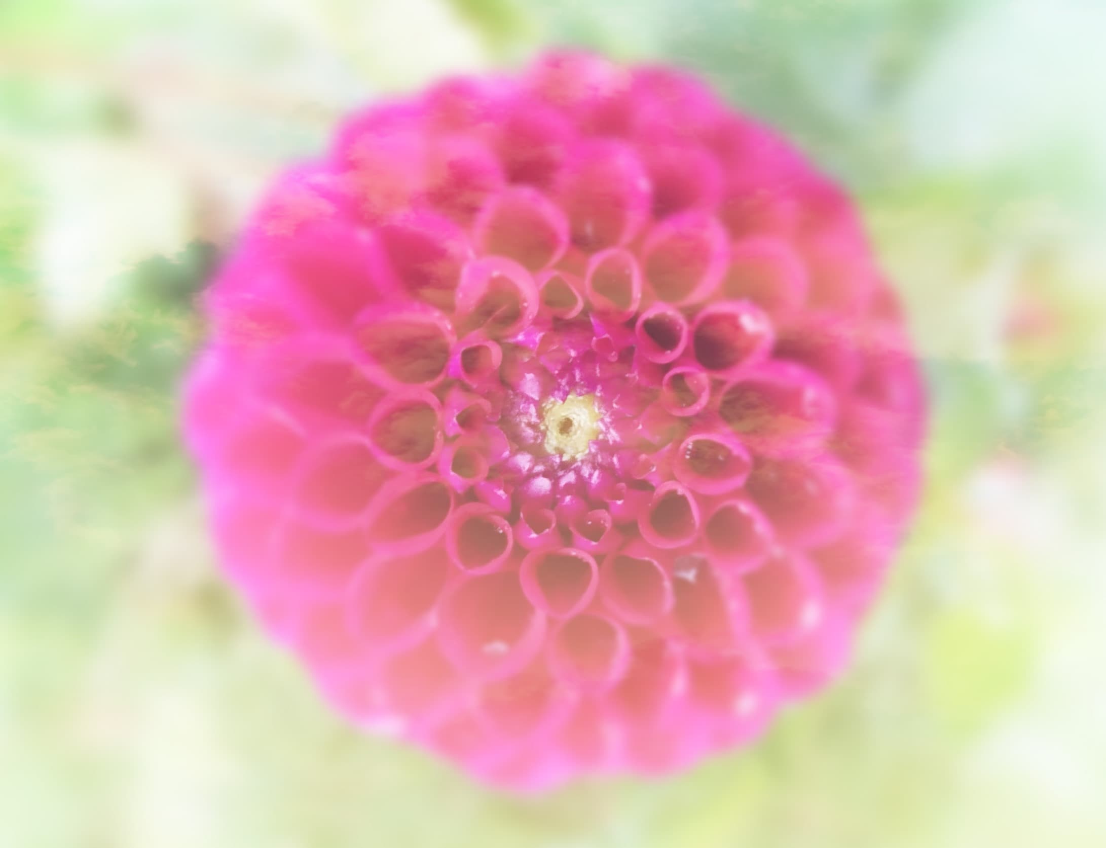 Ženský kruh s Lucií Aishou Jizerskou v zády s Gáborem Maté, 28.7.2024