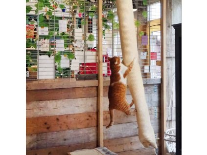 Vak na lezenie pre mačky sisal 180 cm