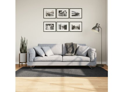 Antarcitový koberec s krátkym vlasom IZA, 100x200 cm