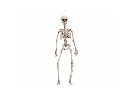 Ozdoby na Halloween My Other Me 120 cm Kostra