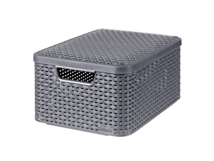 Curver Úložný box s vekom Style M 18L metalická strieborná