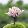 stromek sakura 800x800