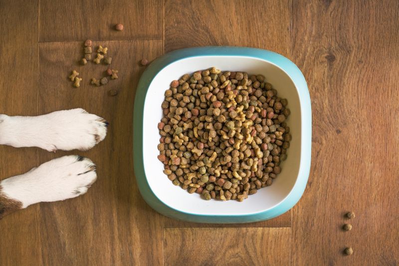 7 důvodů, proč přejít na za studena lisované granule