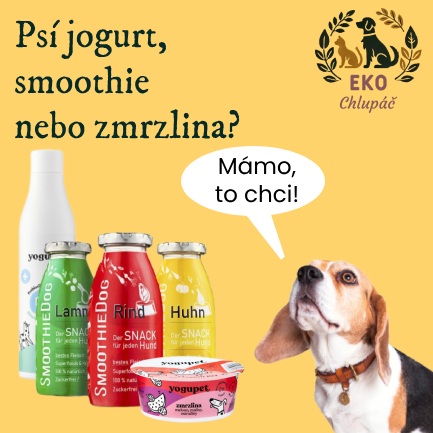 Kefíry, smoothie a zmrzlina pro psy