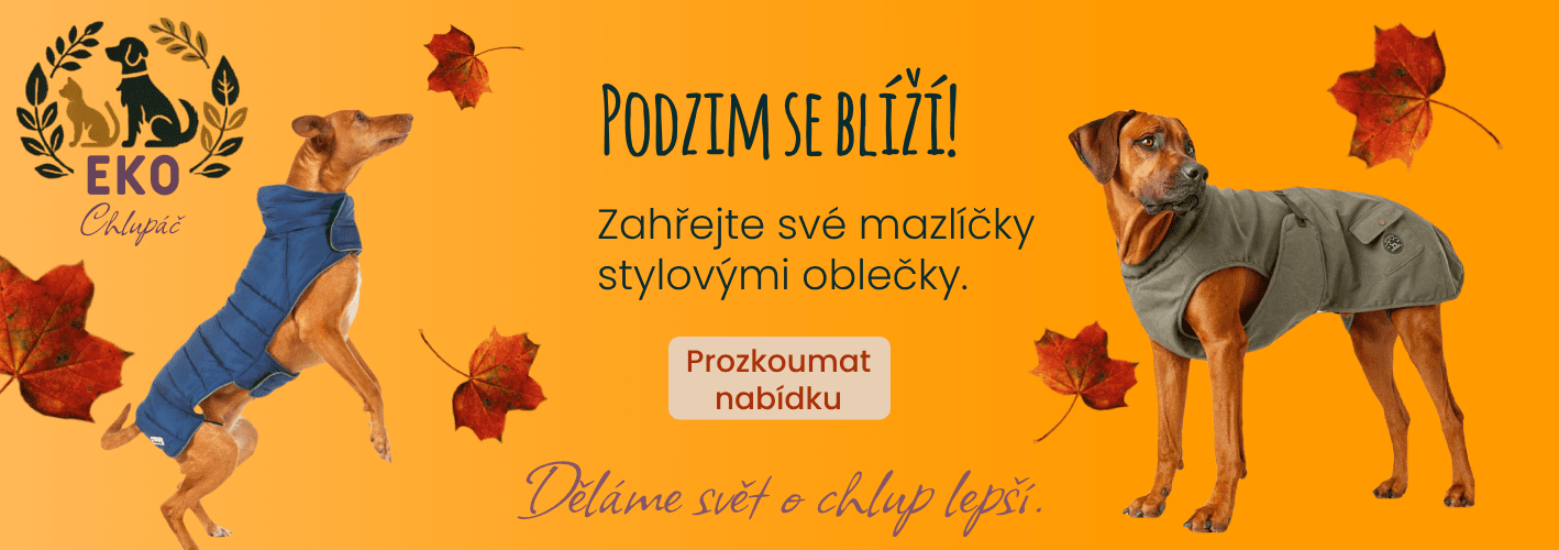 Podzim se blíží - oblečky pro psy