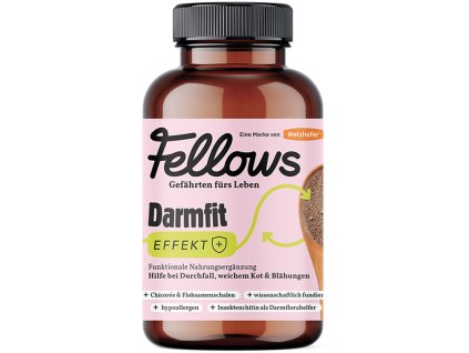 Fellows Darmfit Strevni pohoda 200 g