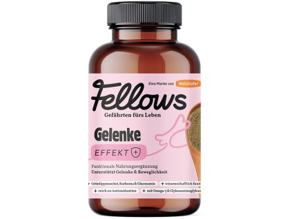 Fellows Gelenke Kloubni vyziva 200 g