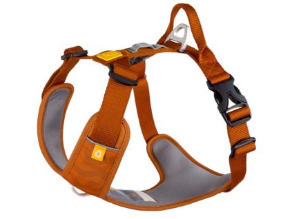 Woolly Wolf Postroj pro psy Roam Terracotta Ripple - terakotová