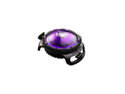 Orbiloc Purple LED světlo na obojek a postroj