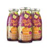 SmoothieDog ovocné smoothie pro psy