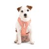 Woolly Wolf Postroj pro psy Roam Salmon Pink Ripple - lososová
