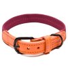 cloud7 stylový obojek pro psy madeira papaya optimized