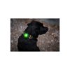 Orbiloc Green LED světlo na obojek a postroj