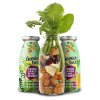 SmoothieDog Vegetariánské smoothie pro psy1
