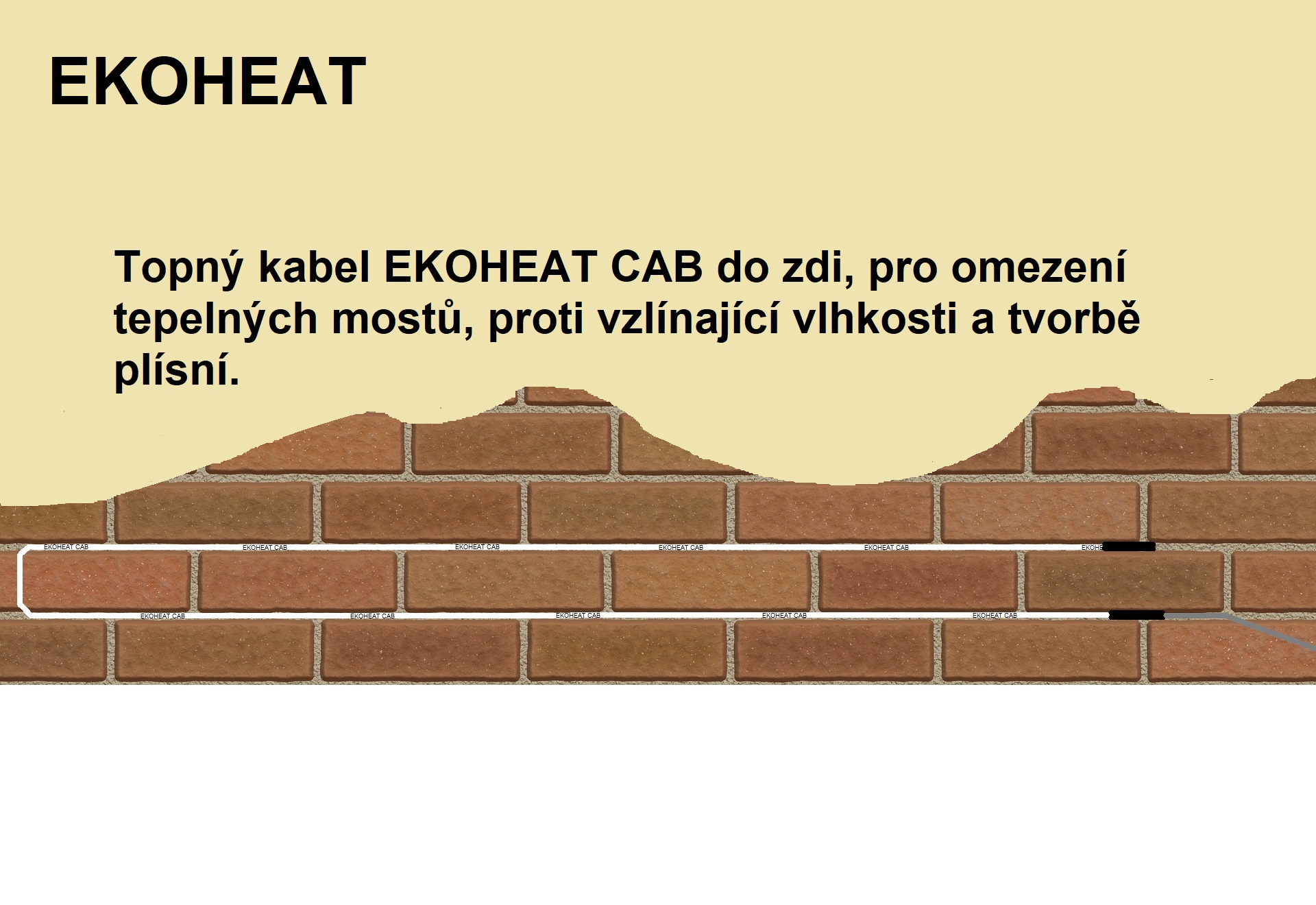 Víte jak řešit vlhkost zdiva v interiéru? My ano!