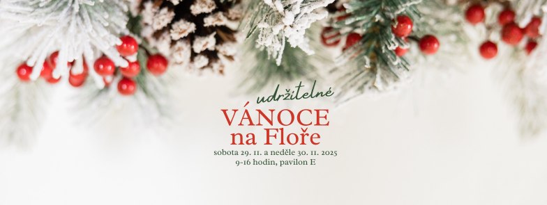 502622135_1120818173403145_2845327971106134810_n