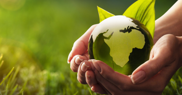 Jaký je rozdíl mezi biologickými a konvenčními čisticími prostředky?