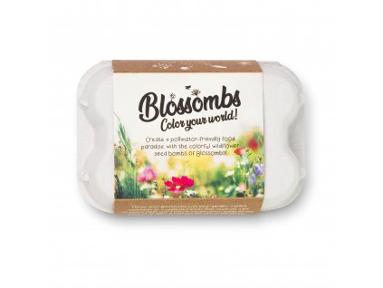 Blossombs Semínkové bomby - Dárkový box na vajíčka (6 ks)