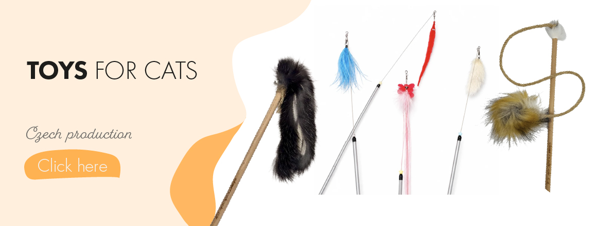 Toys for cats