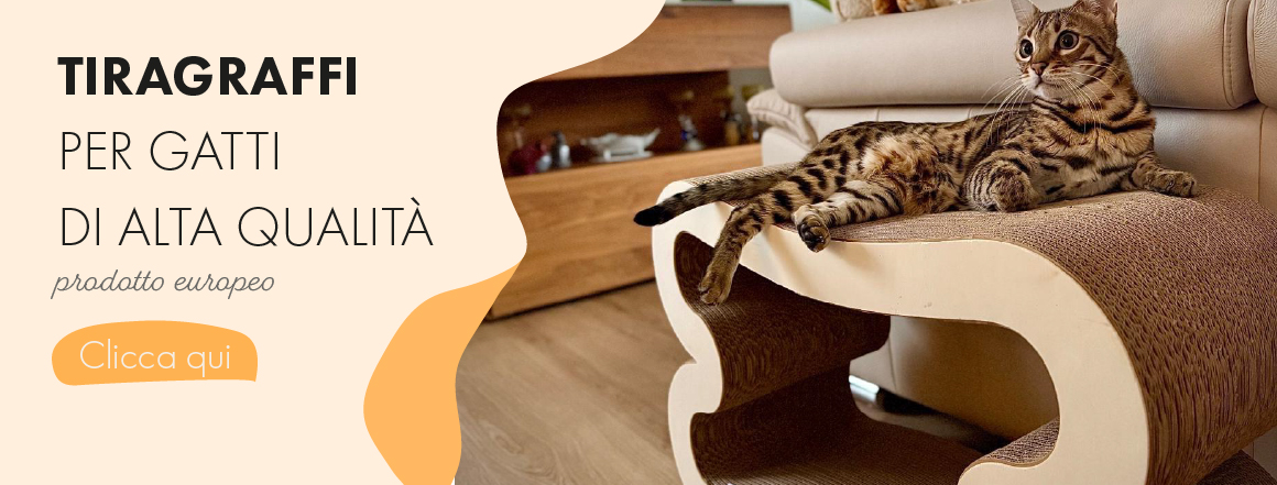 Tiragraffi di cartone