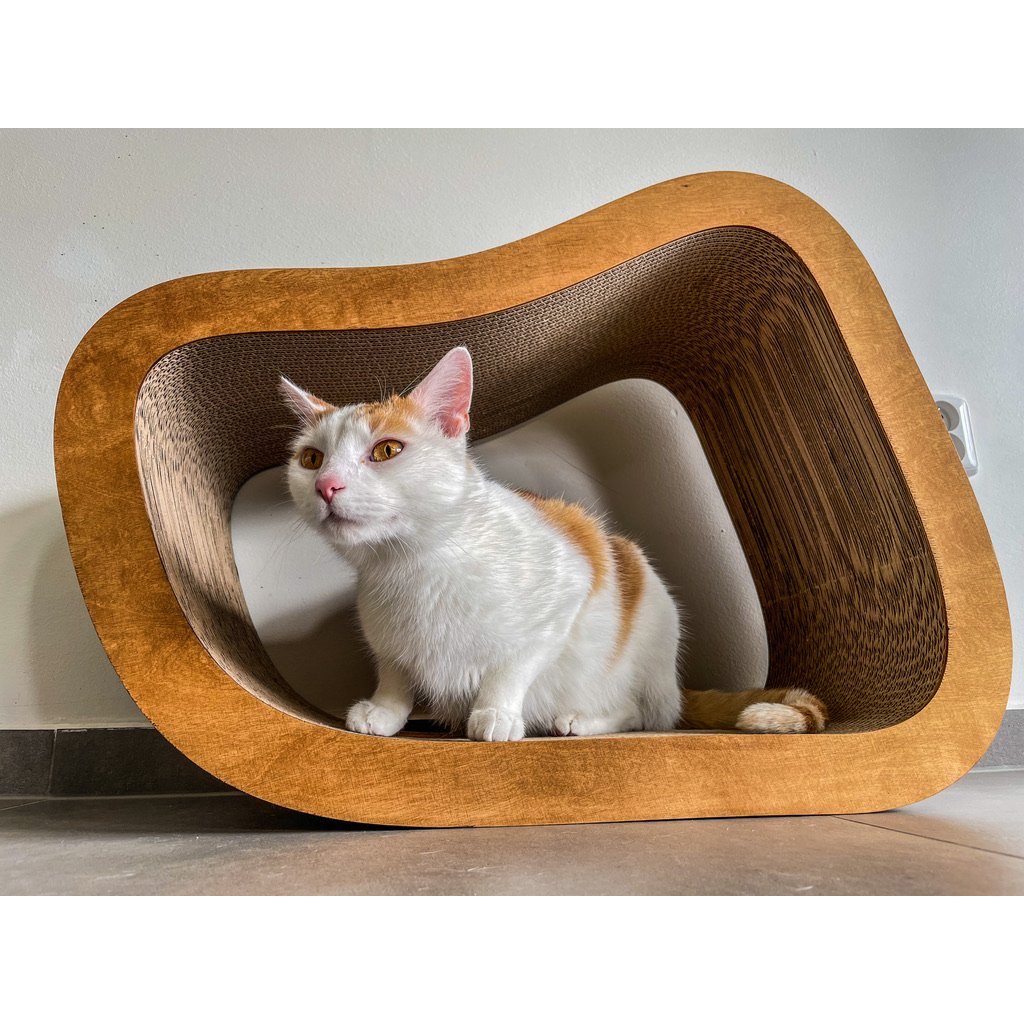 Cardboard cat scratcher australia hot sale