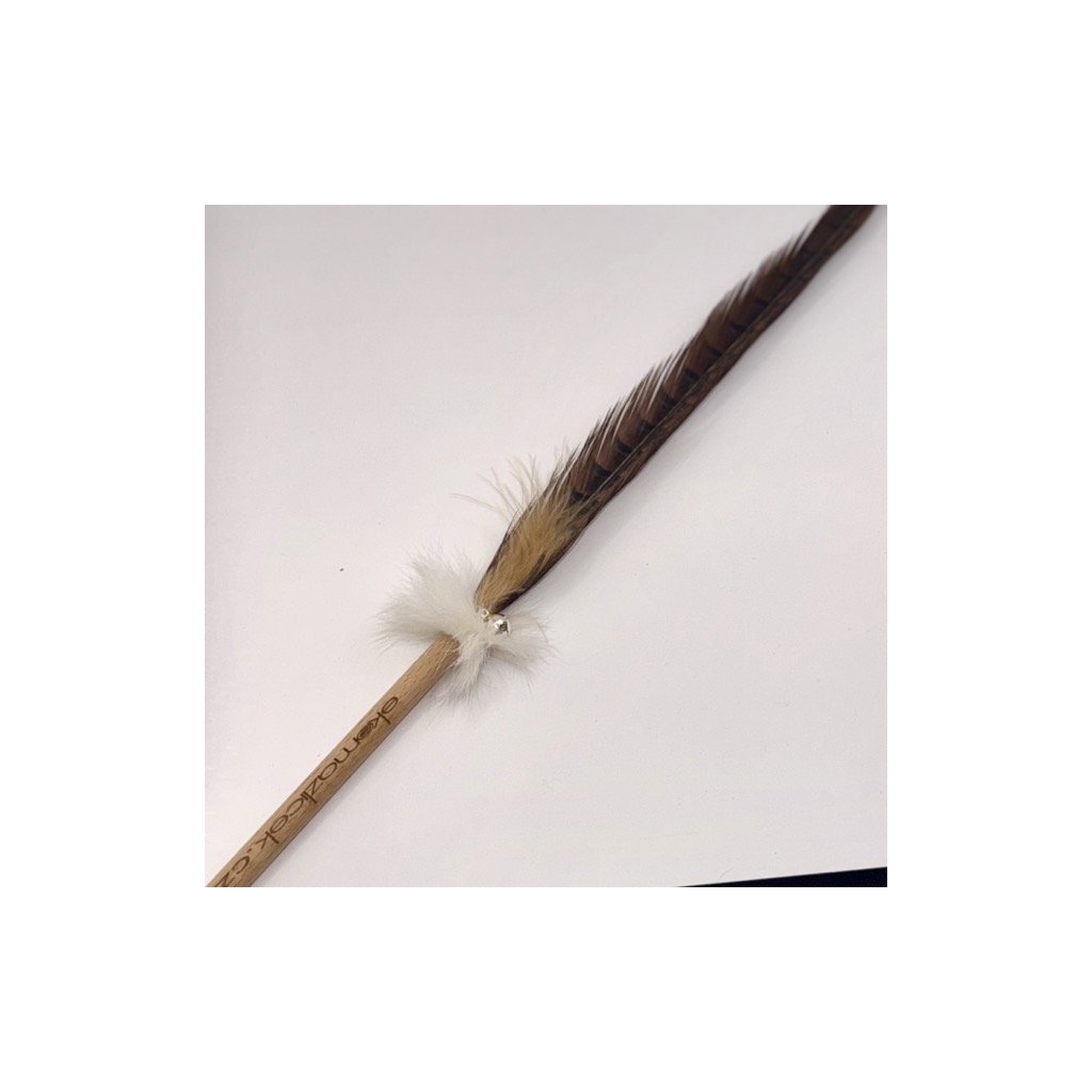 Fasanenfeder an einem Holzstab