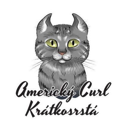 americky curl kratkosrsta