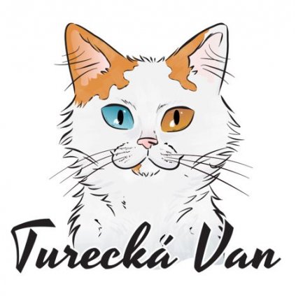 turecka van