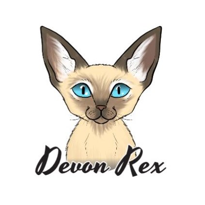 devon rex