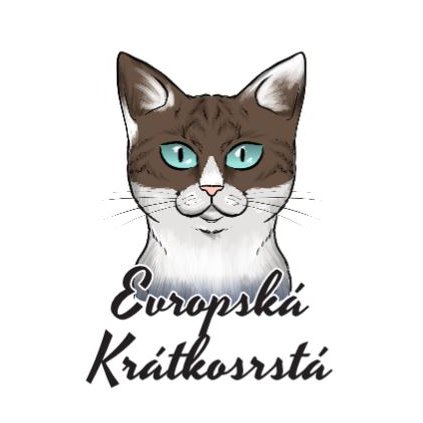 evropska kratkosrsta