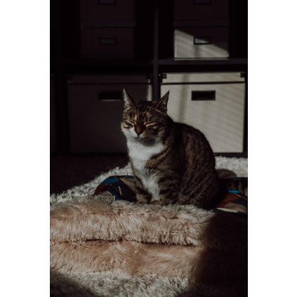 Cozy pet beds Ekomazlicek.cz - beige