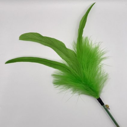 Long Rooster