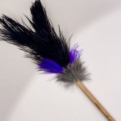 Double Feather on a Wooden Stick