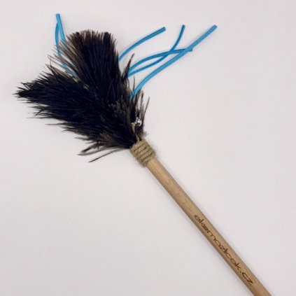 Leather with Ostrich Feathers on a Wooden Stick