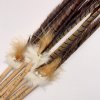 Pheasant Feather on a Wooden Stick