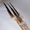 Pheasant Feather on a Wooden Stick