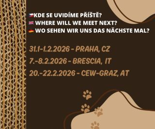 Kde nás můžete potkat příště? ❤️❤️❤️ . . . #catshow #catexhibition #ekomazlicek #ekomazlicekcz #catscratcher catlove...