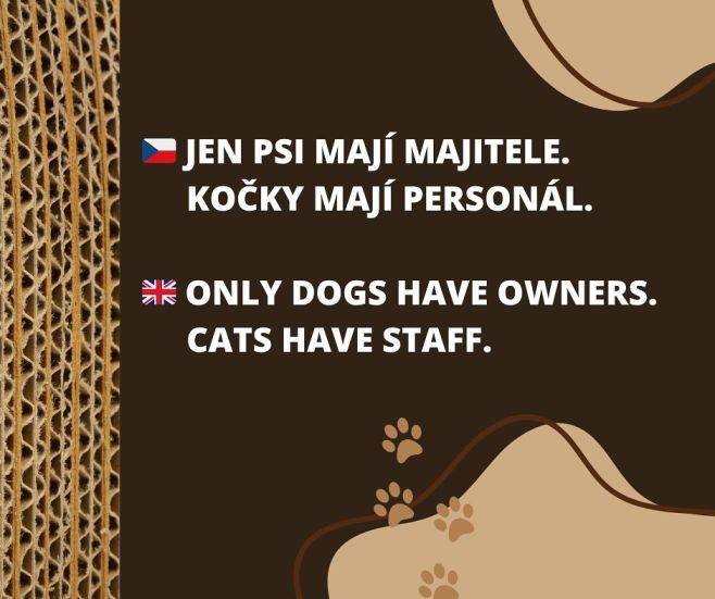 Také souhlasíte s námi? 😍 . . . #skrabadloprokocky #ekomazlicek #kartonoveskrabadlo #ceskavyroba #kocicilaska #kocka...