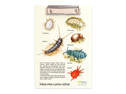 puda pod lupou oziva fotka 6 2021 01 f15663