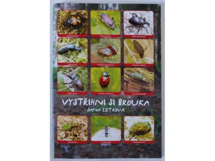 Vystřihni si brouka