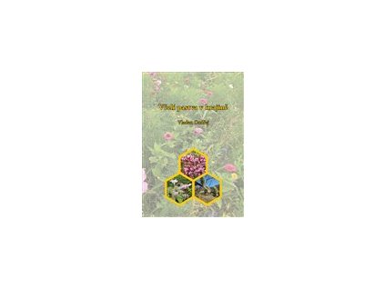 Včelí pastva v krajině